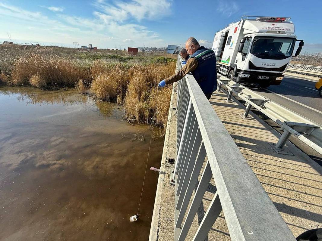 İstanbul'un o ilçesinde müsilaj oluşmaya başladı! Korkutan manzara geri döndü 1